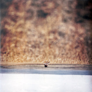 Hands That Bind Soundtrack (Sealed)