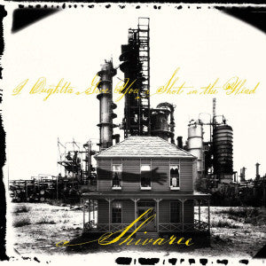 Shivaree- I Oughtta Give You A Shot In The Head