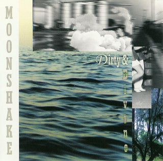 Moonshake- Dirty And Divine