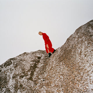 Cate Le Bon- Reward