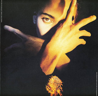 Terence Trent D'Arby- Neither Fish No Flesh