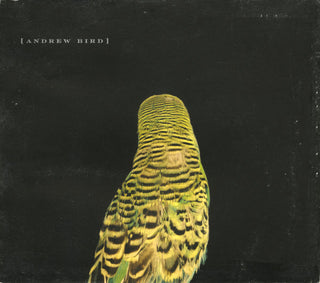 Andrew Bird- Armchair Apocrypha
