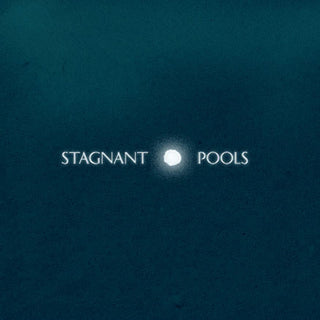 Stagnant Pools- Temporary Room