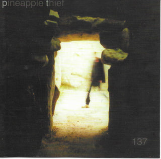 Pineapple Thief- 137
