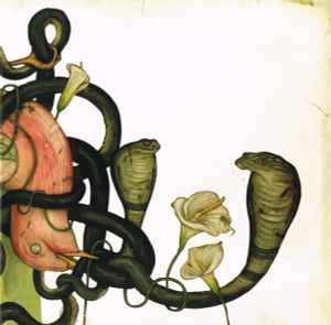 Rival Sons- Head Down ("Rosefinch" Colored)(w/ Signed Lyric Sheet & 2 Picks)(Sealed)