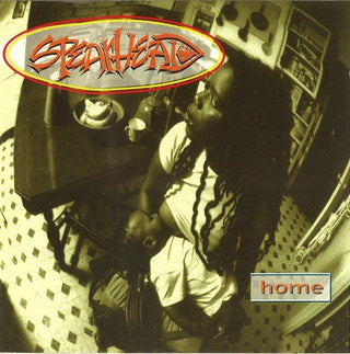 Spearhead (Michael Franti)- Home