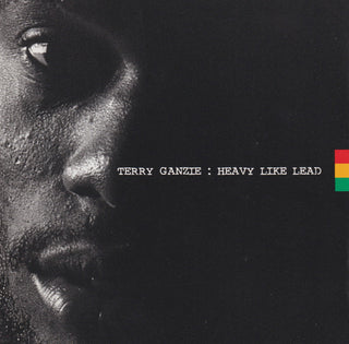 Terry Ganzie- Heavy Like Lead