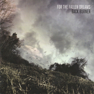 For The Fallen Dreams- Back Burner