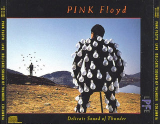 Pink Floyd- Live- Delicate Sound Of Thunder