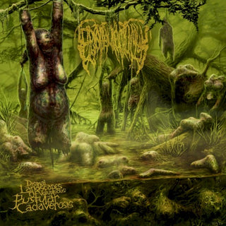 Epicardiectomy- Dismal Landscapes Of Voluptuous Pustular (CD)