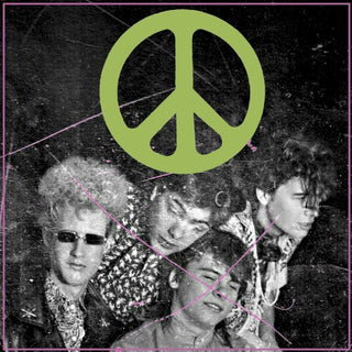 Flaming Lips- Scratching The Door: The First Recordings Of the Flaming Lips