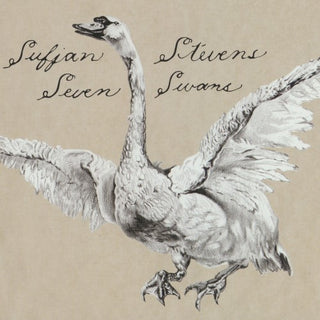 Sufjan Stevens- Seven Swans