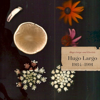 Hugo Largo- Huge Large And Electric: Hugo Largo 1984-1991