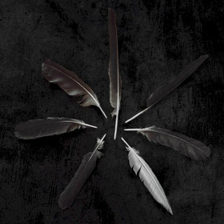 Caspian- Dust And Disquiet