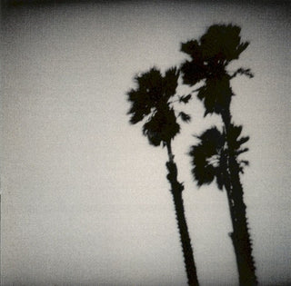 Twilight Singers- Play Blackberry Belle