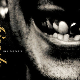 Sponge- Wax Ecstatic