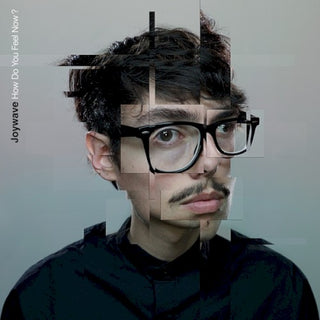 Joywave- How Do You Feel Now