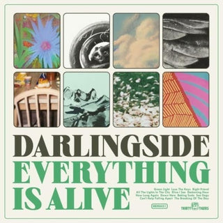 Darlingside- Everything Is Alive