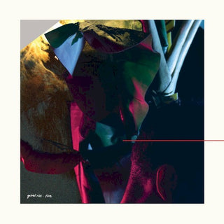 Gabriel Rios- Flore