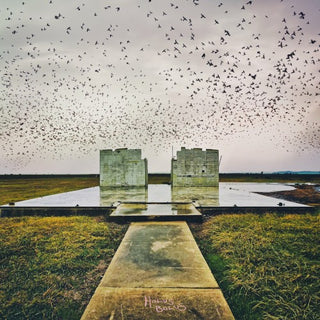 Lord Buffalo- Holus Bolus