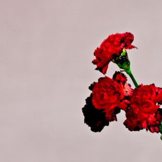 John Legend- Love In The Future