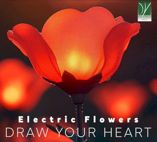 Electric Flowers- Electric Flowers: Draw Your Heart (Ita) (CD)