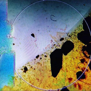Dreamtx- Living In Memory Of Something Sweet (CD)