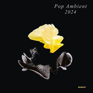 Various Artists- Pop Ambient 2024