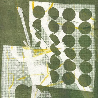 Zander Raymond- To Have Several Lives (Vinyl)