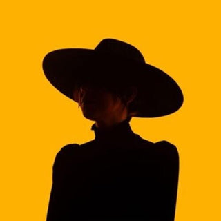 The Howlers- What You've Got To Lose To Win It All