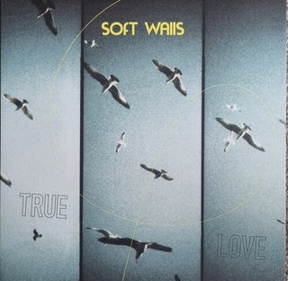 Soft Walls- True Love
