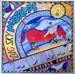 Big Sky Mudflaps- Sensible Shoes