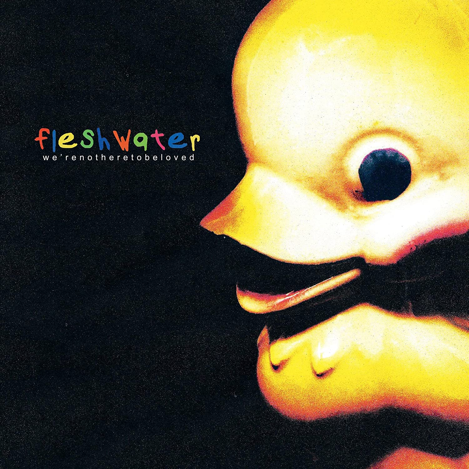 Fleshwater- We're Not Here To Be Loved - Darkside Records
