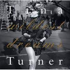 Tina Turner- Wildest Dreams - Darkside Records