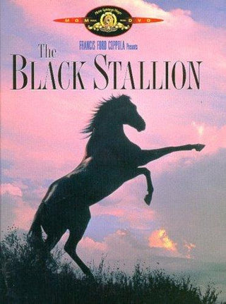 Black Stallion - DarksideRecords