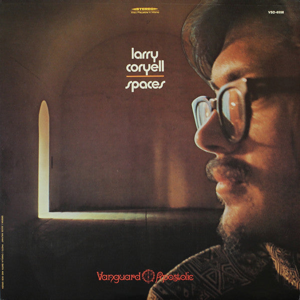 Larry Coryell- Spaces - DarksideRecords