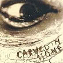 Vince Neil- Carved In Stone - Darkside Records
