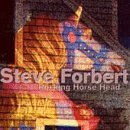 Steve Forbert- Rocking Horse Head - Darkside Records