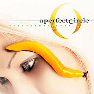 A Perfect Circle- Thirteenth Step - DarksideRecords