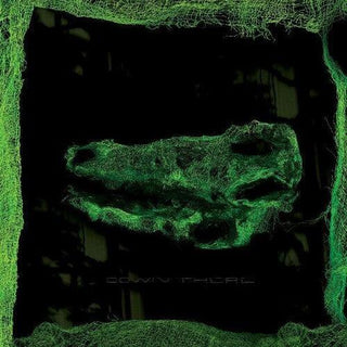Avey Tare- Down There - Darkside Records