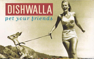 Dishwalla- Pet Your Friends - Darkside Records