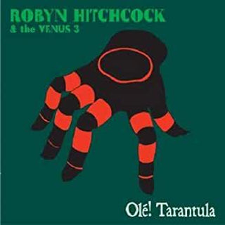 Robyn Hitchcock & The Venus 3 (Soft Boys)- Ole! Tarantula - Darkside Records