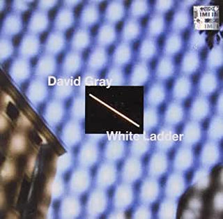 David Gray- White Ladder - Darkside Records