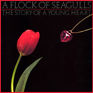Flock of Seagulls- The Story Of A Young Heart - DarksideRecords