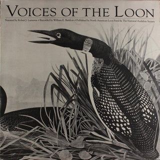 Voices Of The Loon - Darkside Records