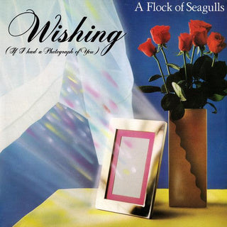 Flock Of Seagulls-  Wishing (If I Had A Photograph Of You) (12”) - Darkside Records