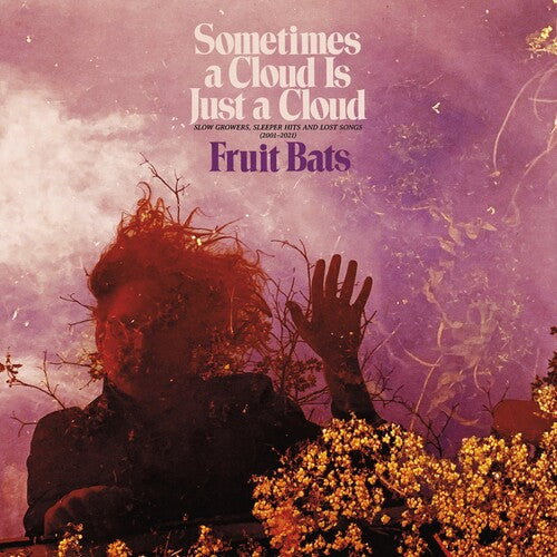 Fruit Bats- Sometimes a Cloud Is Just a Cloud: Slow Growers, Sleeper Hits and Lost Songs (2001–2021) (Pink/Violet Vinyl) - Darkside Records