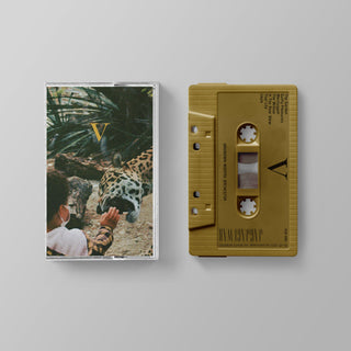 Unknown Mortal Orchestra- V (PREORDER) - Darkside Records