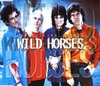 Rolling Stones- Wild Horses - Darkside Records