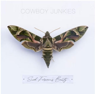 Cowboy Junkies- Such Ferocious Beauty - Darkside Records